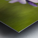 Vibrant Moss Phlox Metal print