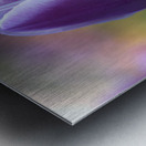 The Purple One Metal print