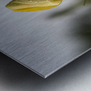 Dreamy Beauty Metal print