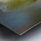 Dreamy Beauties Metal print