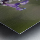 Drops and Bokeh Metal print