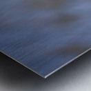 Lady in Purple Metal print