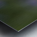 Farewell Metal print