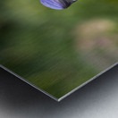 Rain Drops Metal print