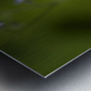 Tiny Blue Beauties Impression metal