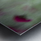 Lovely Ladies Metal print