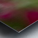 Blanket Flower Metal print