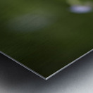 Tiniest Bouquets Metal print