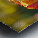 The Lovely One Metal print