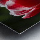 Pretty One Metal print