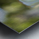 Pure and Simple Metal print