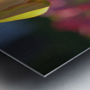 Two of a Kind Metal print