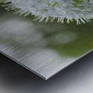 The White One Metal print