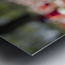 The Queen Metal print