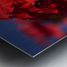 Pretty in Red Metal print