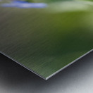 Pretty Ones Metal print