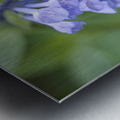 Petites Clochettes Metal print