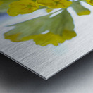 Mes Jolies Metal print