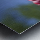 Oh Mother Metal print