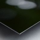 Catchfly Impression metal