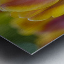 Siblings Metal print