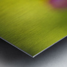 Freshness Overload Impression metal