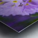 Drumstick Metal print