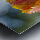 Falling for You Metal print