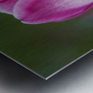 Barbie Pink Metal print