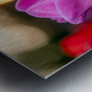 Two Amigos Metal print