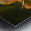 Wonderful Day Impression metal