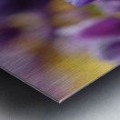 A Touch of Purple Metal print