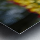 Amongst Others Metal print