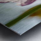 The Glowy One Metal print