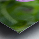 Ruby Star Impression metal