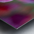 Pretty as a Tulip Metal print