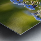 Happy Day Metal print