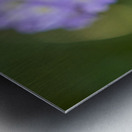 Drumsticks Metal print