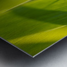 Here Comes the Sun Metal print