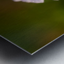 Pretty Pretty Metal print