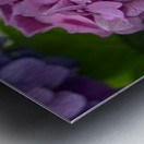 Awesome Pink Impression metal