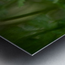 Velvety Blue Metal print