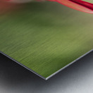 Simply Red Metal print