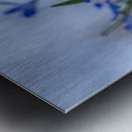 Little Blue Bulbs Metal print