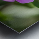 Pink Periwinkle Impression metal