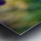 Sunlit Serendipity Metal print