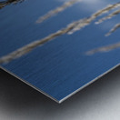 Silver Grass Metal print