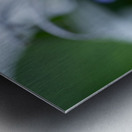 Beetle Killer Metal print