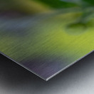 Looking Forward Metal print