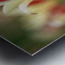 Tranquil Tulips Metal print